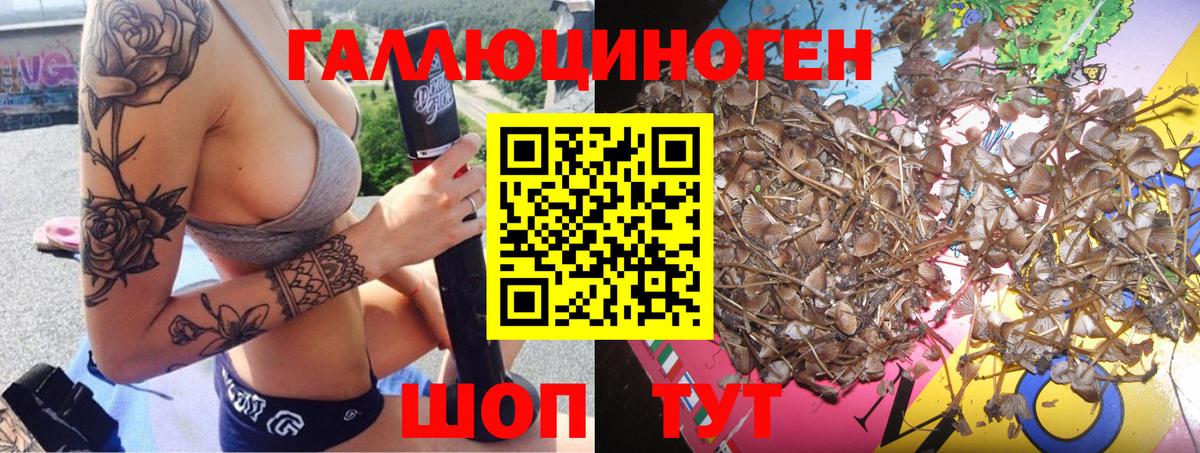 Норильск  Псилоцибиновые грибы GOLDEN TEACHER  Псилоцибиновые грибы ЛСД  Вход с VPN 