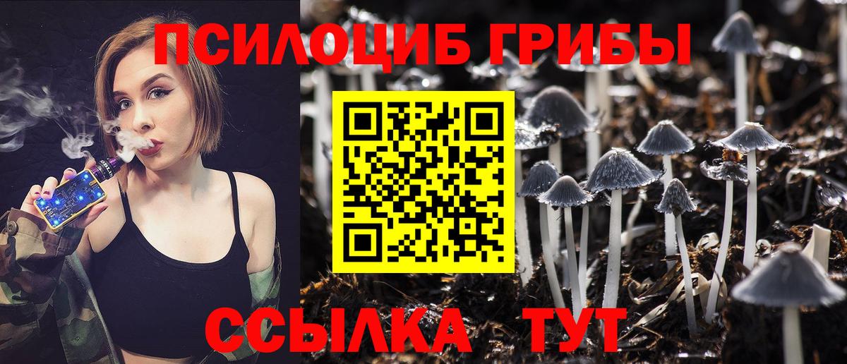 Псилоцибиновые грибы ЛСД Норильск